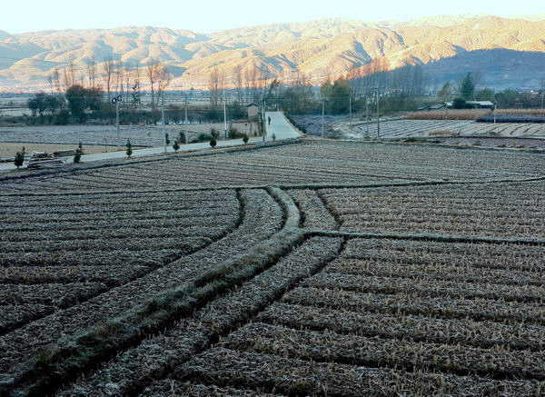 shaxi-china-old-town-friday-market