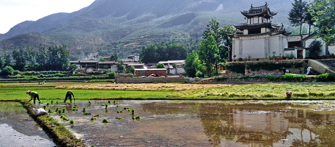 shaxi-culture-yunnan-china